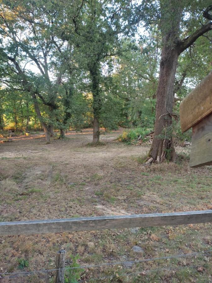 Maisonnette Vue Sur Foret Campagne (Landes)