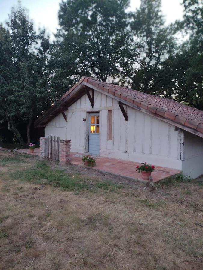 Maisonnette Vue Sur Foret *